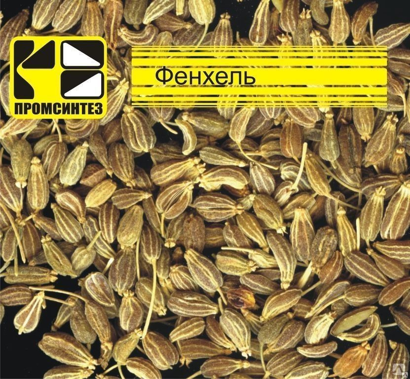 Где Купить В Новосибирске Семена