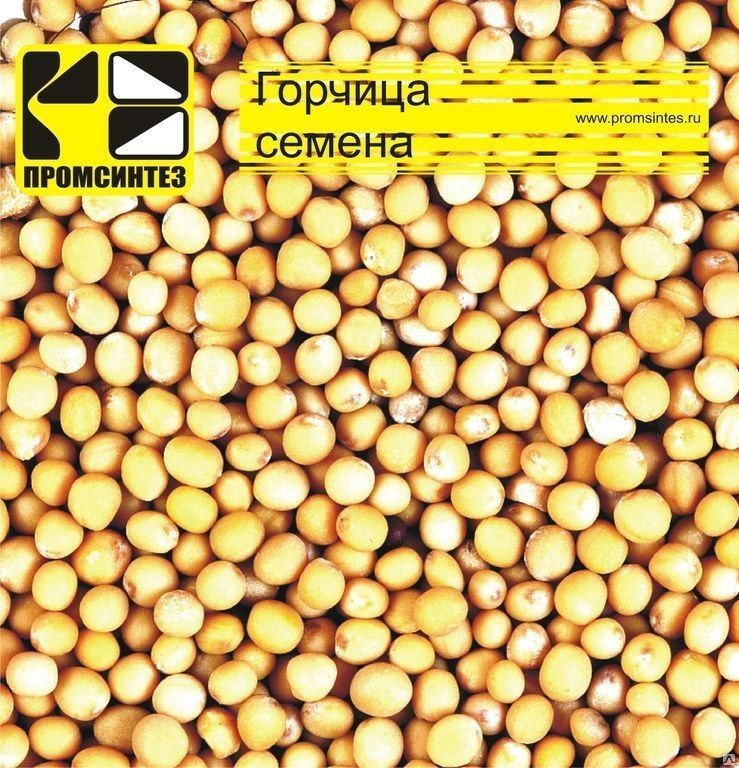 Горчицы семена жёлтые 10%, мешок 30 кг (Россия)