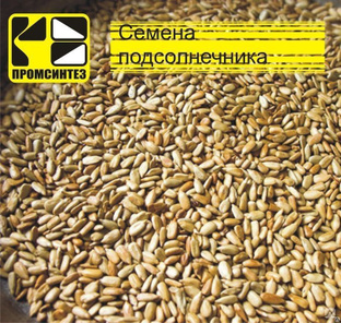 Подсолнечника семя очищенное, мешок 25 кг (Россия) #1