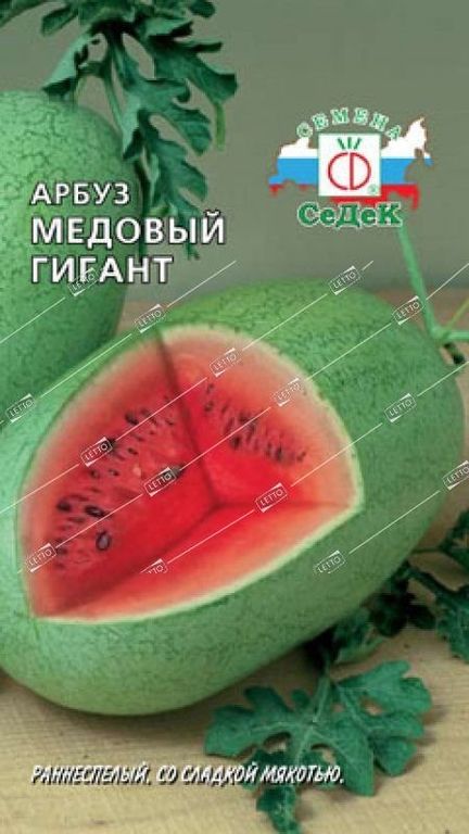 Семена Арбуз Медовый гигант, Седек 1 г