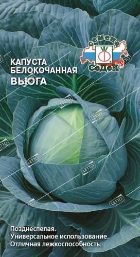 Семена Капуста белокочанная Вьюга, Седек 0,5 г