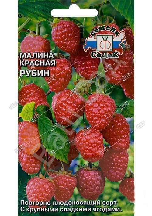 Семена Малина Красная Рубин, Седек 0,05 г
