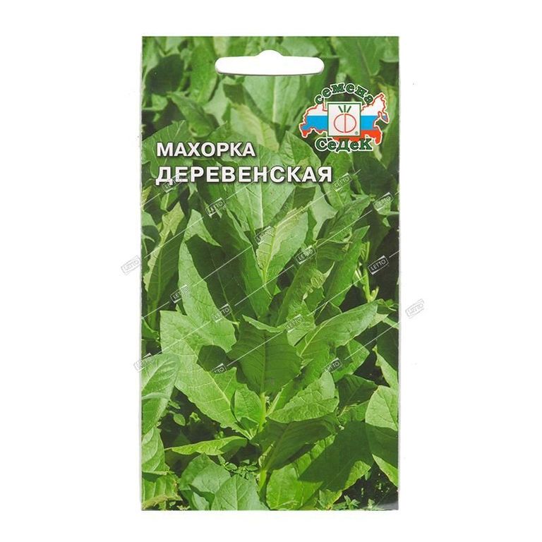 Семена Махорка (табак курительный) Деревенская, Седек 0,01 г