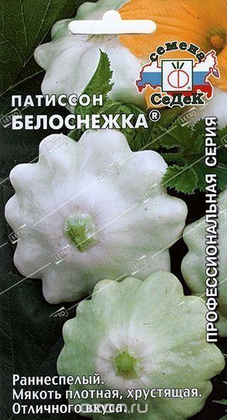 Семена Патиссон Белоснежка, Седек 1 г