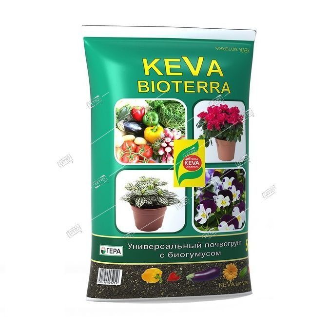 Купить Семена Грунт Оптом