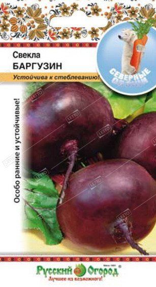 Семена Свекла Баргузин, Русский огород Северные овощи 3 г