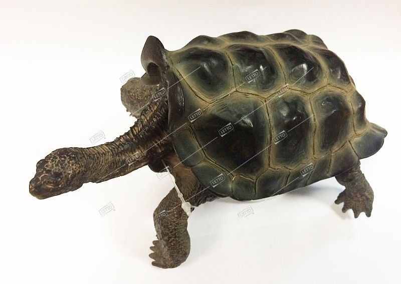 Декорация для аквариума Галапагосская черепаха большая, 17х11х9,5см