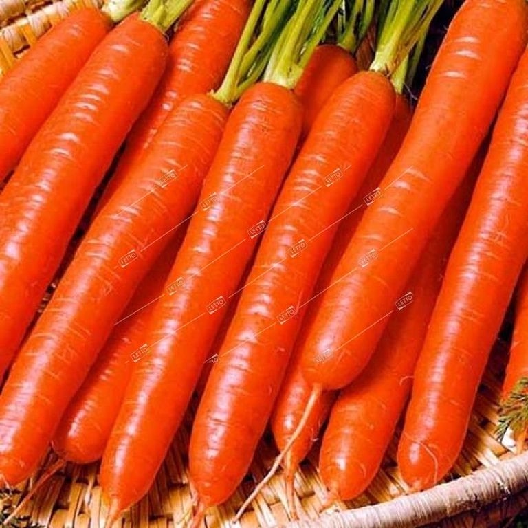 Семена Морковь Витаминная 6, Весовые кг