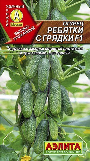 Огурцы Ребятки С Грядки Отзывы Фото