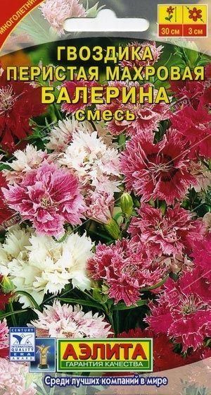 Семена Гвоздика перистая махровая Балерина смесь, Аэлита 0,1 г