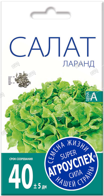Салат кочанный Ларанд, семена Агроуспех 0,5г АГРОУСПЕХ