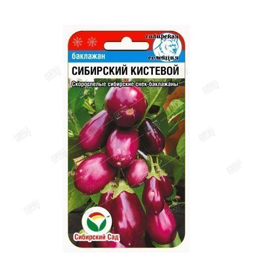 Семена Баклажан Сибирский кистевой, Сибирский сад 20 шт