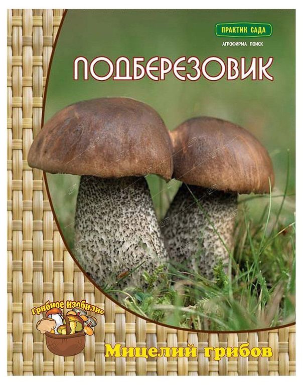 Мицелий грибов Подберезовик, Поиск 60 мл