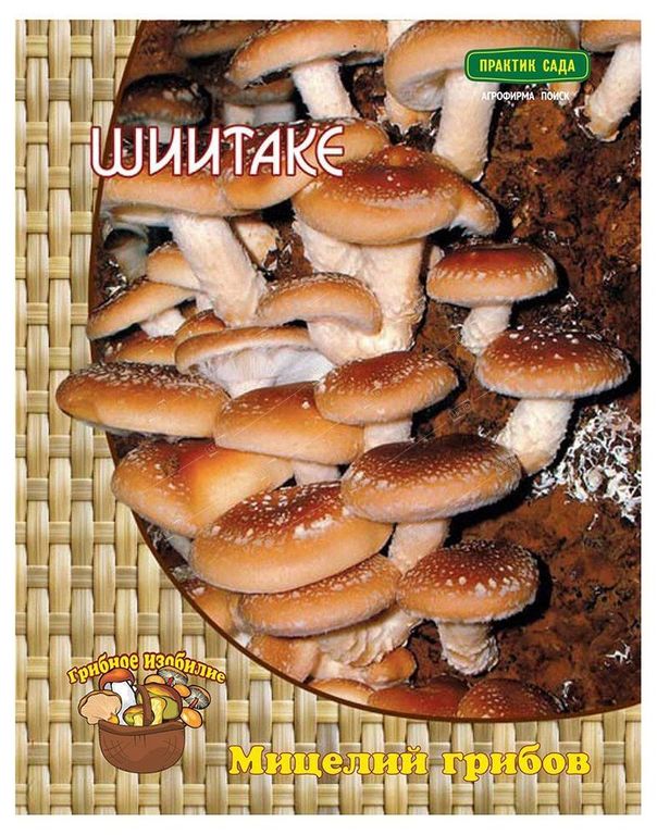 Мицелий грибов Шиитаке, Поиск 12 шт