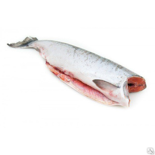 Красная рыба лососевых пород рыб. Кета, кижуч, Камчатка.