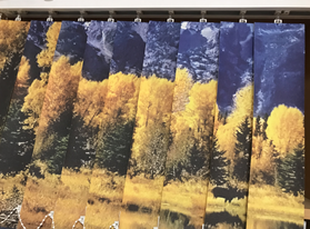 Жалюзи вертикальные тканевые 89 мм с фотопечатью