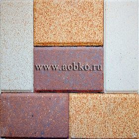 Тротуарная керамическая плитка 200х100х40/50мм купить оптом за 1.60 бел. руб/шт. в Минске от компании ТЧУП "ПластСолюшн"